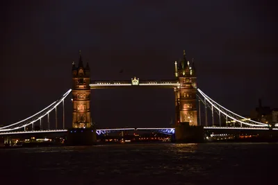 DSC_5697 (Large).JPG